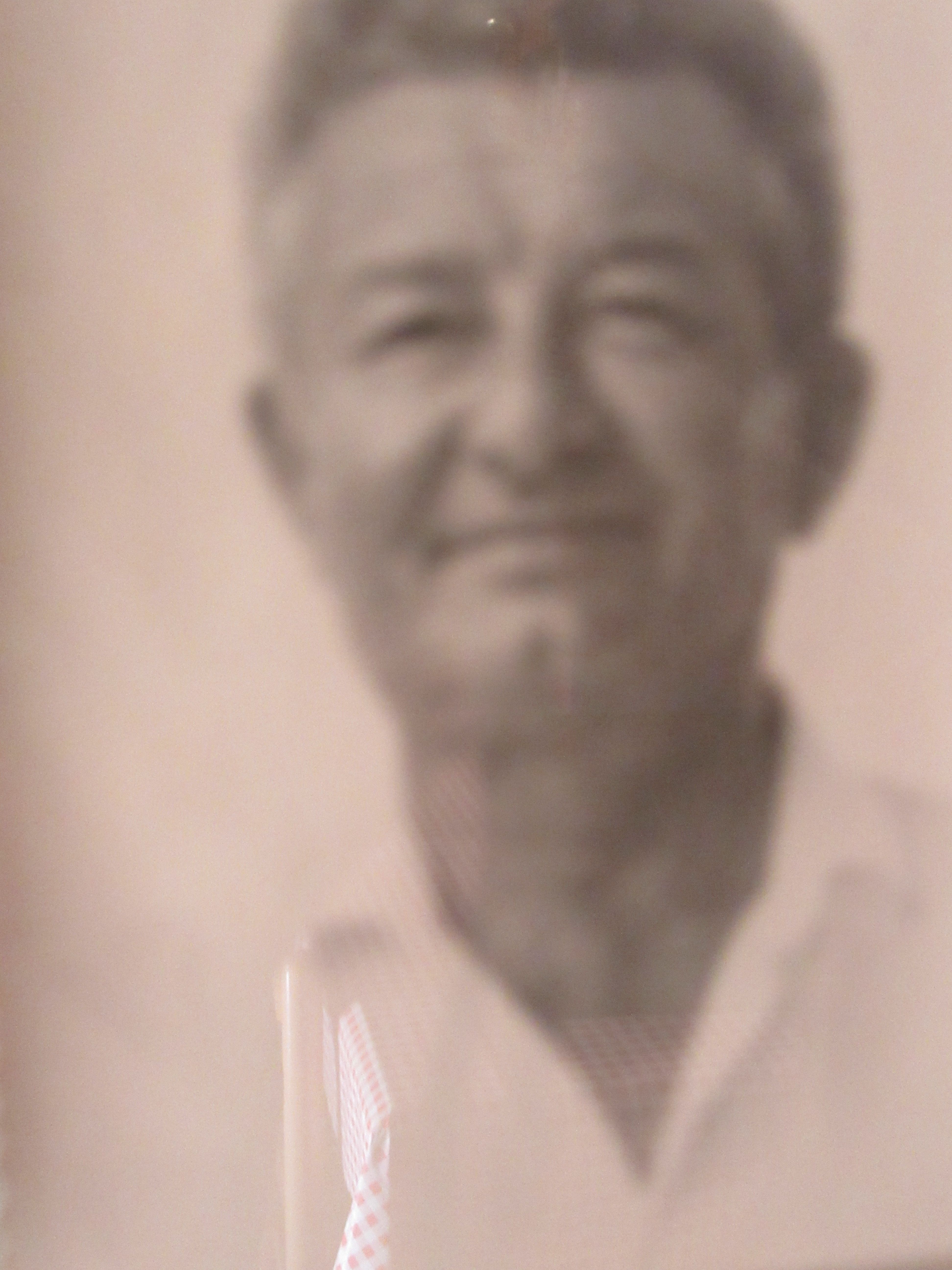 Giuseppe Pelliccioli